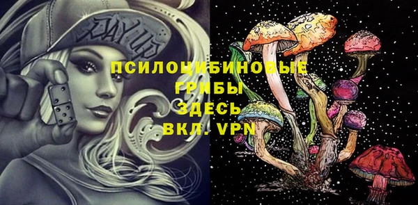ПСИЛОЦИБИНОВЫЕ ГРИБЫ Балахна