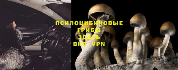винт Баксан