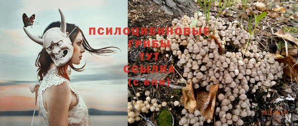 ПСИЛОЦИБИНОВЫЕ ГРИБЫ Балахна