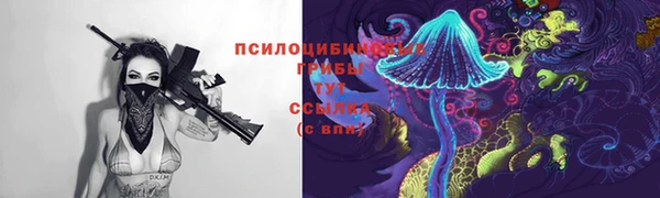 ПСИЛОЦИБИНОВЫЕ ГРИБЫ Балахна