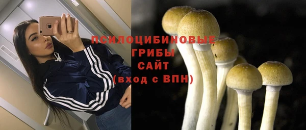 ПСИЛОЦИБИНОВЫЕ ГРИБЫ Балахна