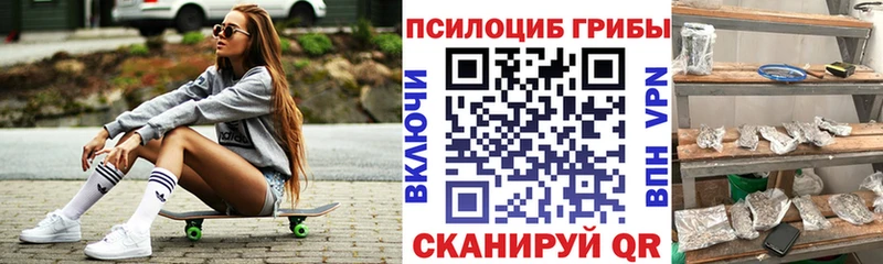магазин  наркотиков  Серафимович  Псилоцибиновые грибы мицелий 